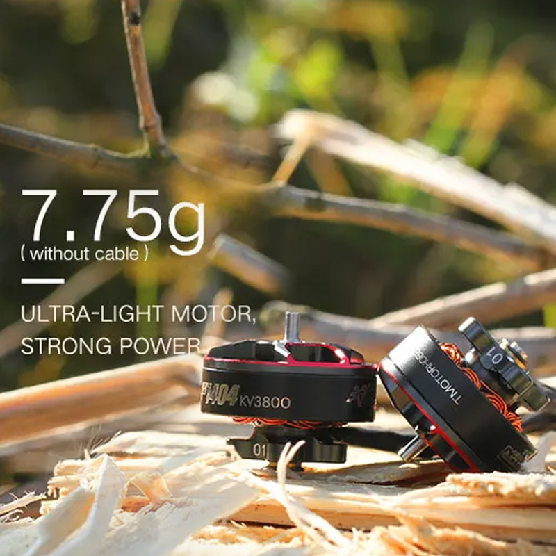 T-motor F1404 1404 2900 3800 4 - Walksnail Avatar Hd Goggles X avis et prix